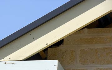 Semer fascia repairs