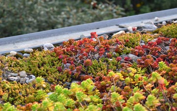 the cost of Semer green roof installation