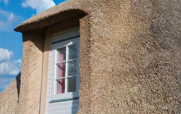 Semer thatch roof disadvantages