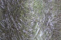 Semer fibreglass roof work